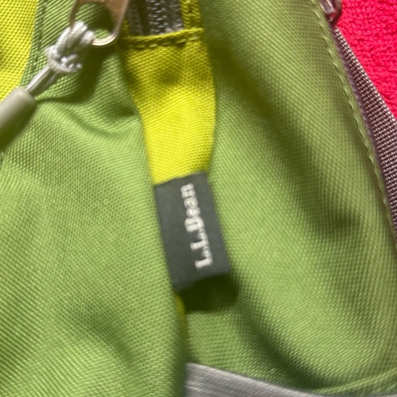 L L Bean Green lizard  Backpack - Picture 4 of 11
